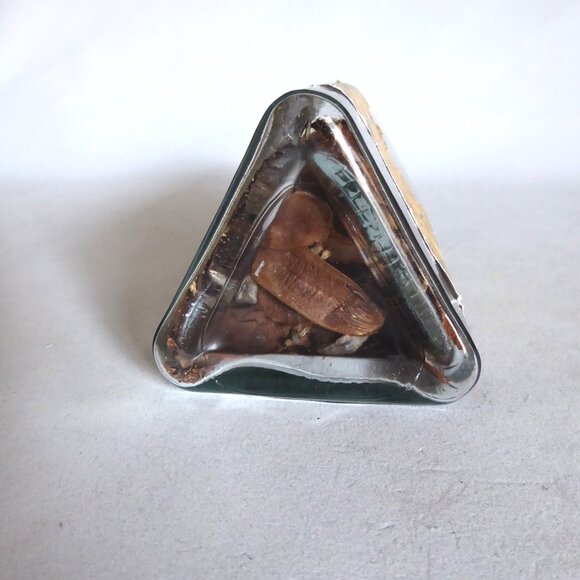 NEW APOTHECARY BOTTLE DRAGON SCALES HALLOWEEN GOTHIC ODDITY PROP HARRY POTTER - Picture 8 of 10